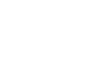 Bassamaina Logo